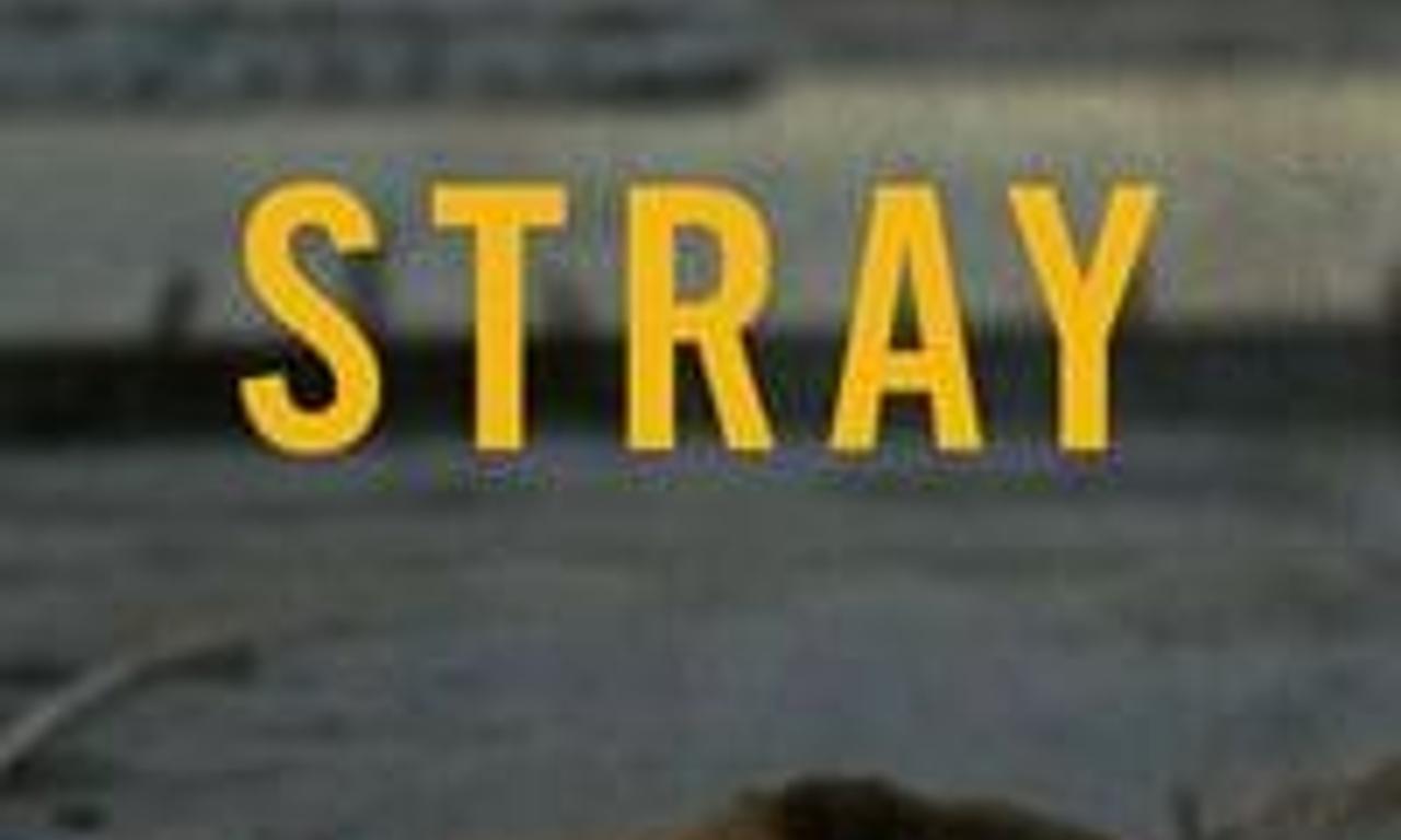 header image for Stray