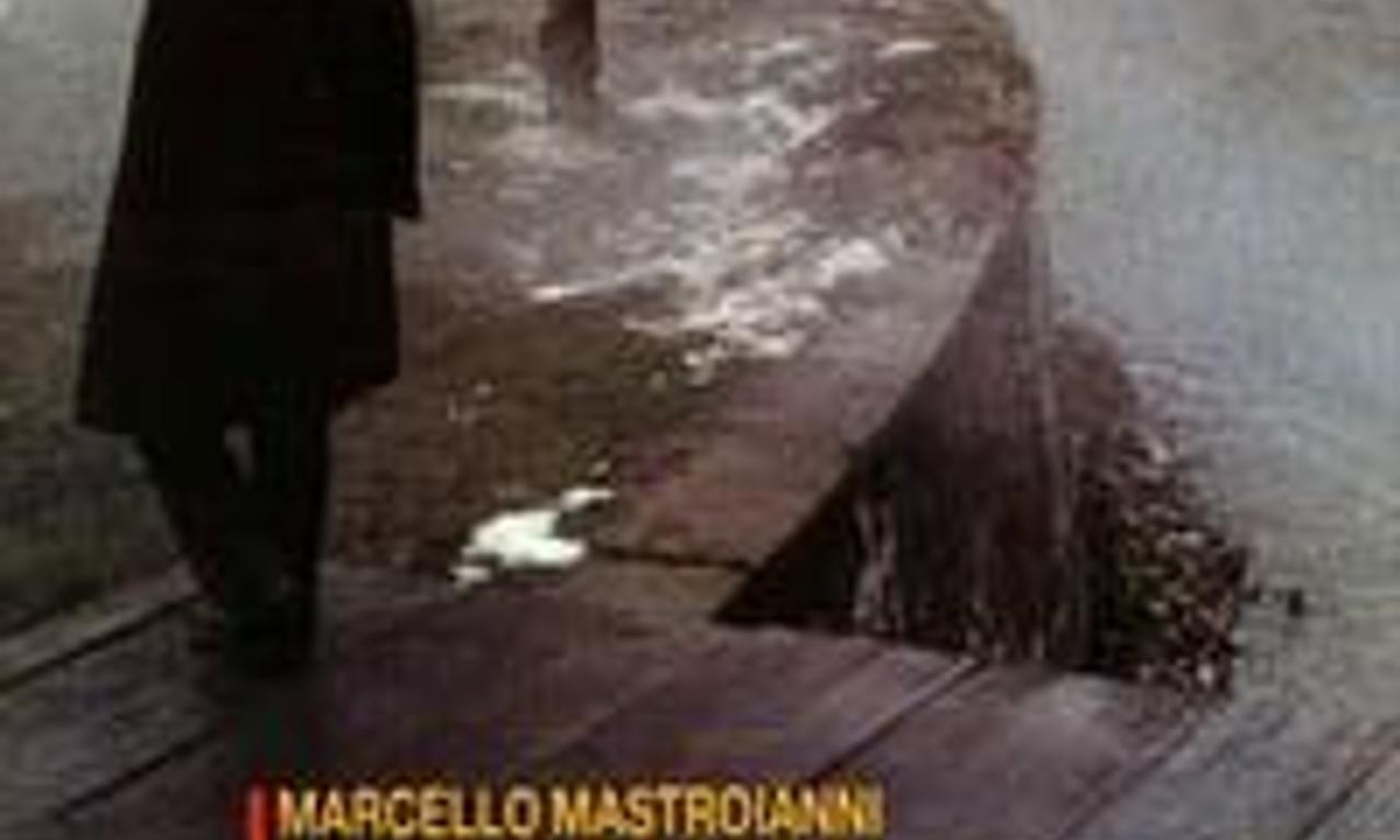 header image for The Beekeeper