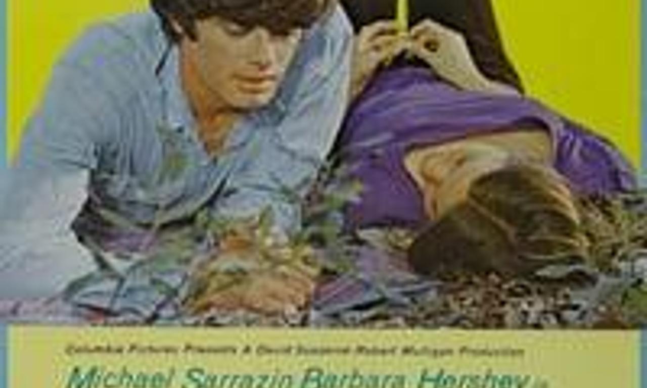 header image for The Pursuit of Happiness