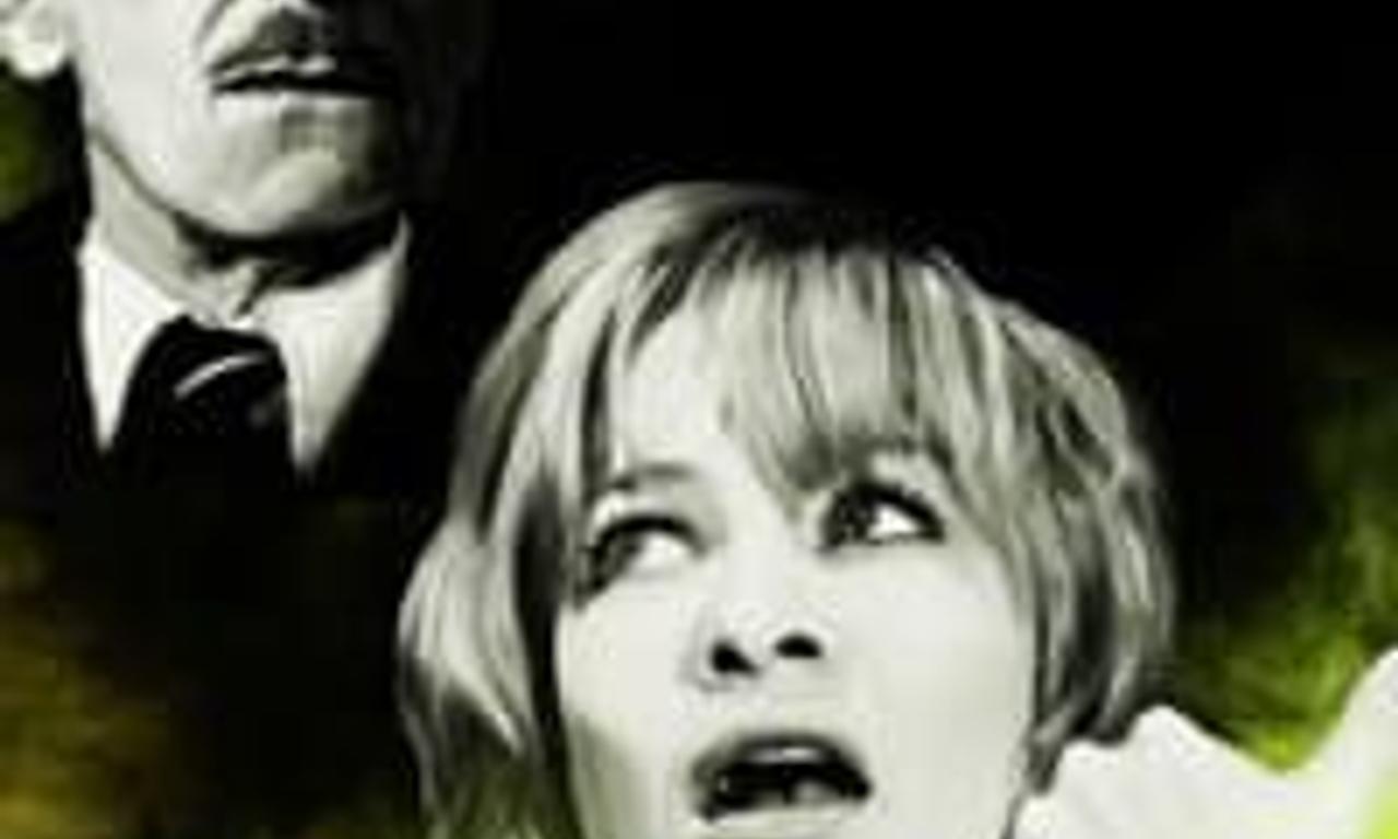 header image for Fear in the Night