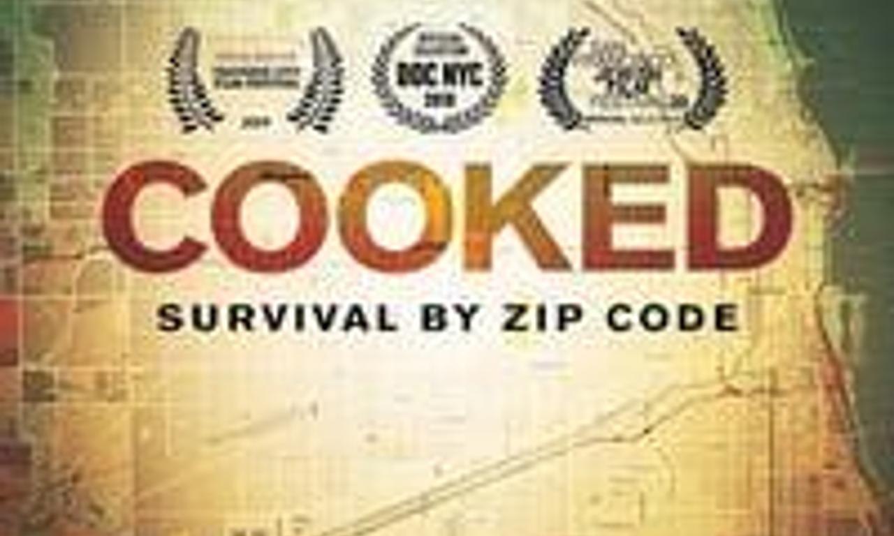 header image for Cooked: Survival by Zip Code