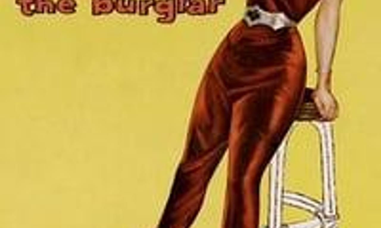 header image for The Burglar