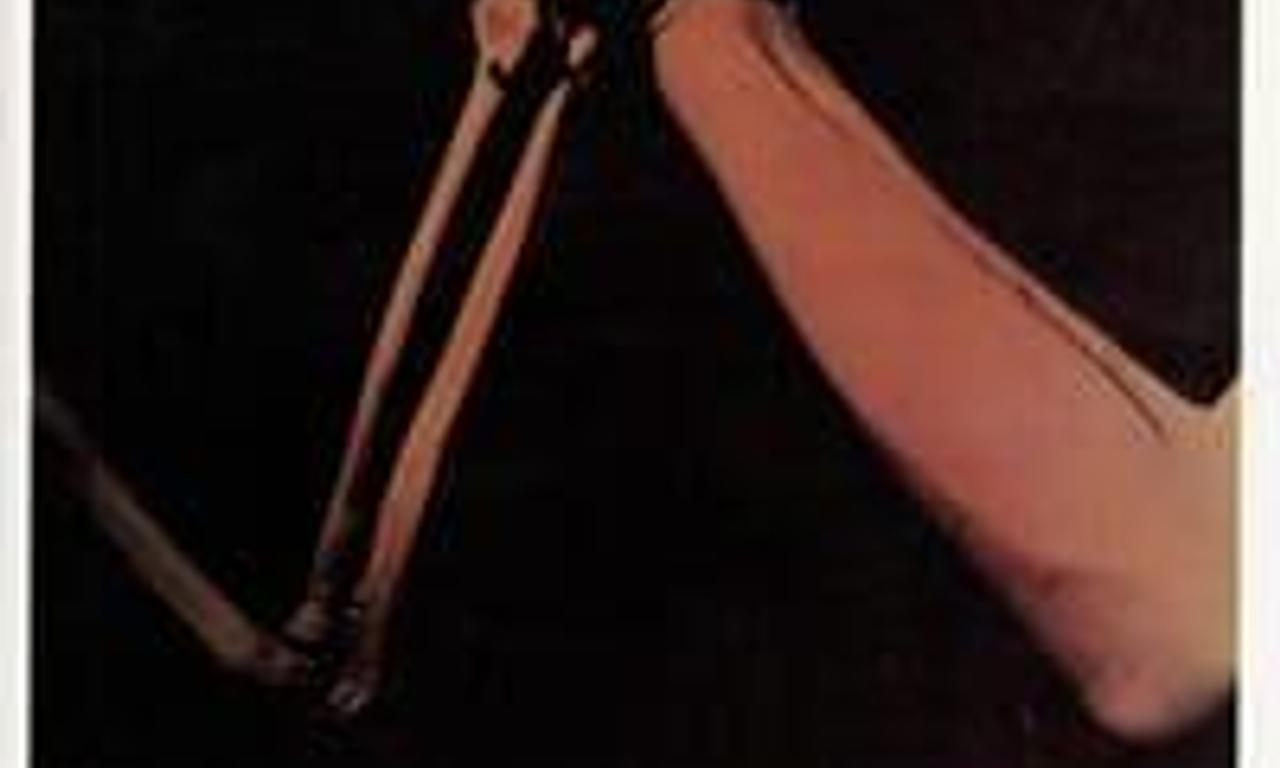 header image for The Constant Factor