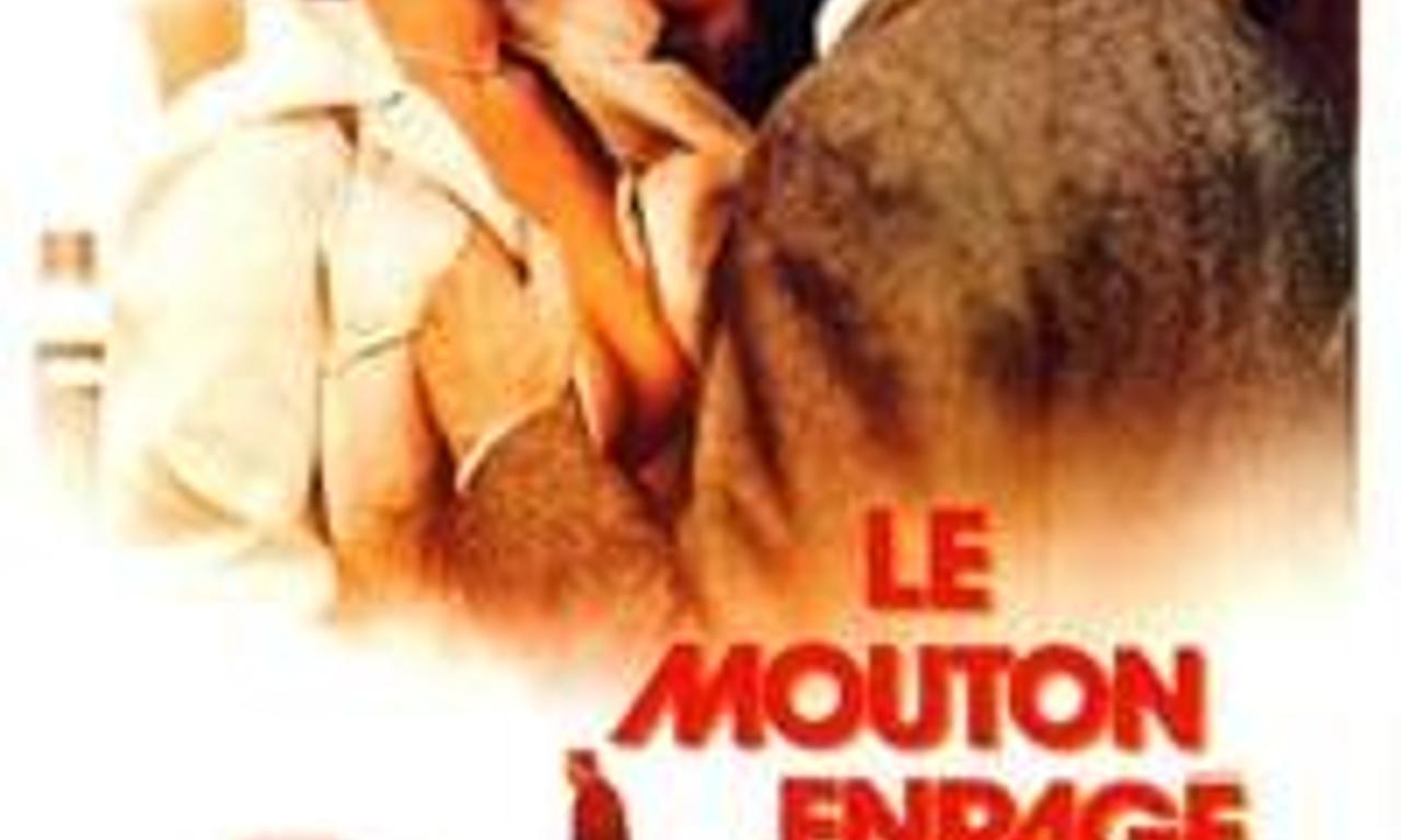 header image for Love at the Top