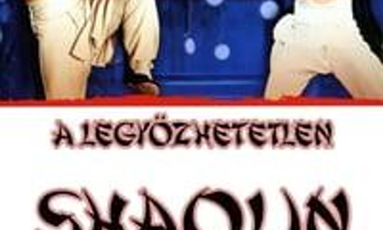 header image for Invincible Shaolin