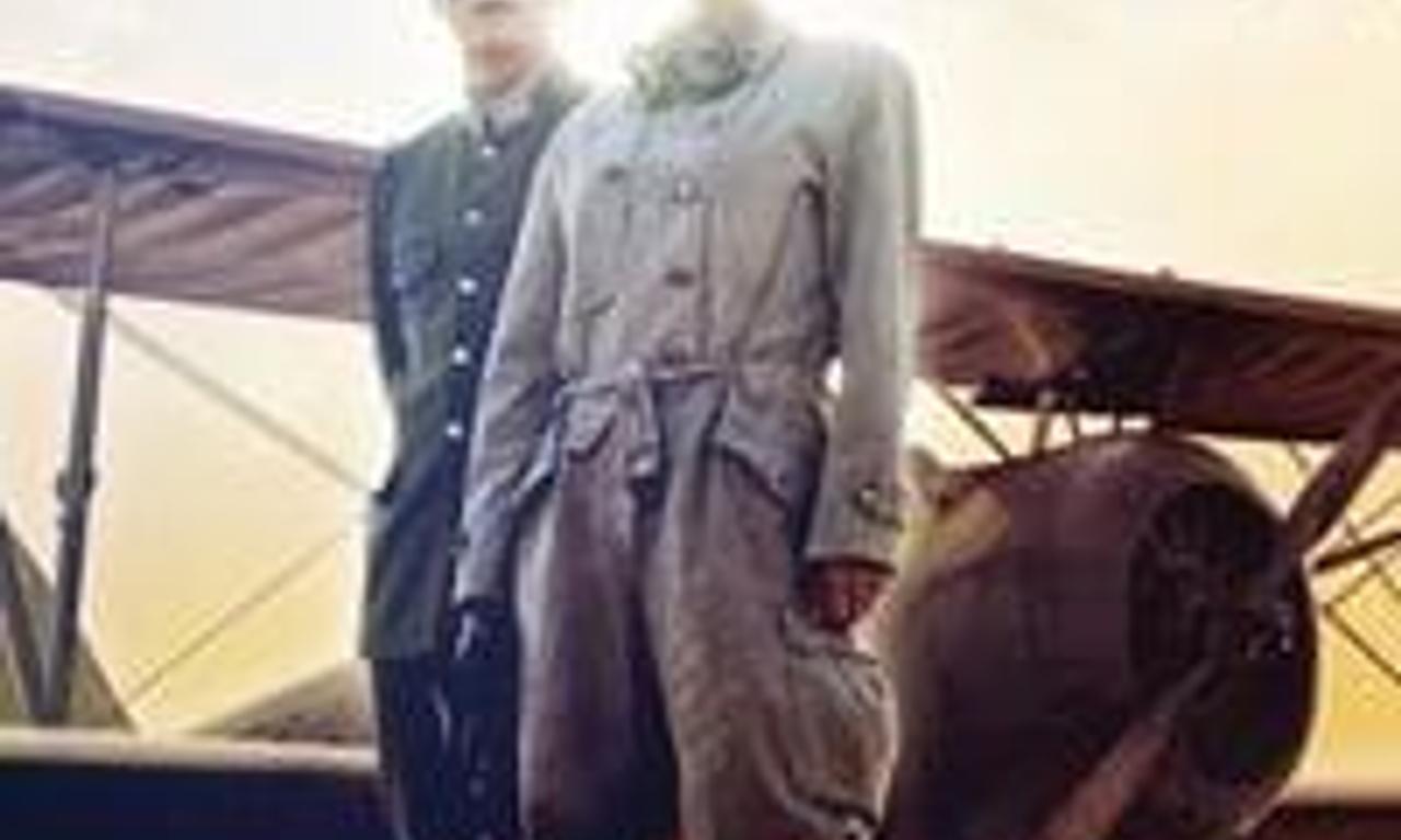 header image for Blue Swallow