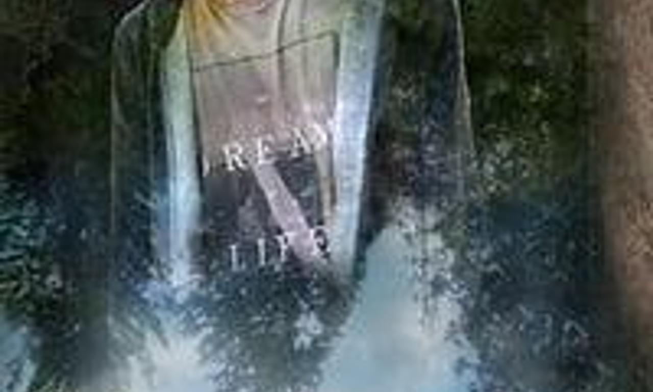 header image for Turner Risk