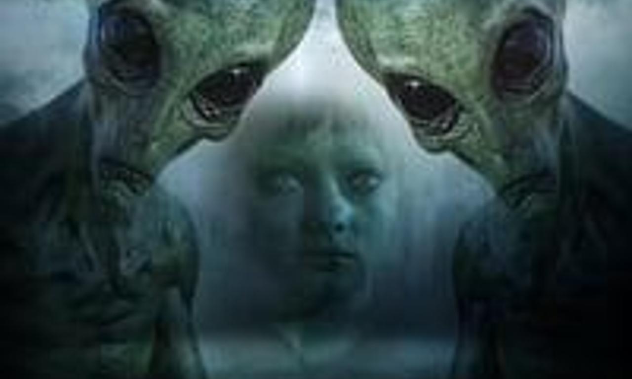 header image for Day 6