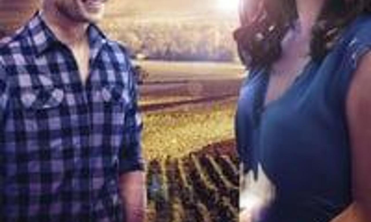 header image for Love in the Vineyard