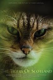 The Tigers of Scotland