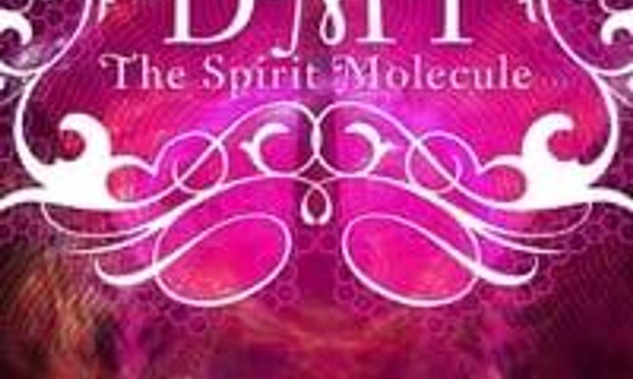 Dmt The Spirit Molecule Where To Watch And Stream Online Entertainmentie