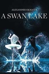 A Swan Lake
