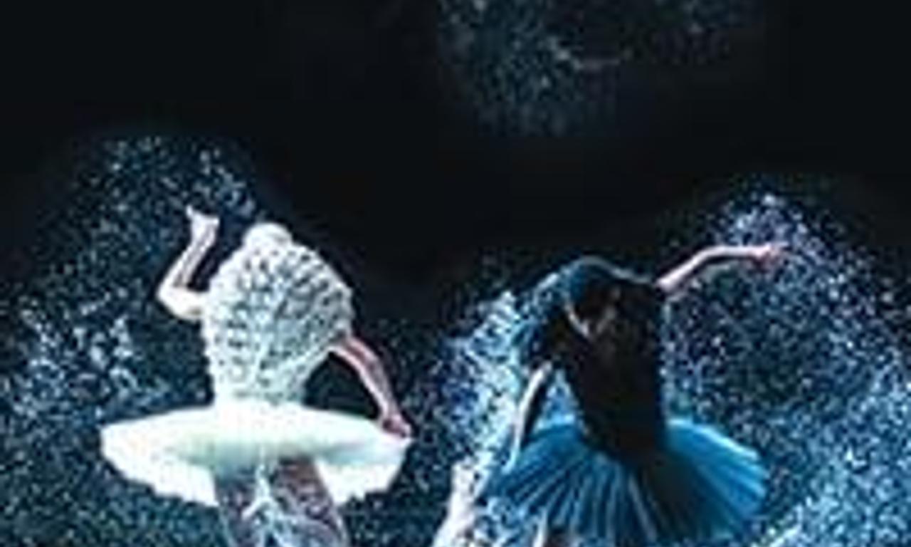 header image for A Swan Lake