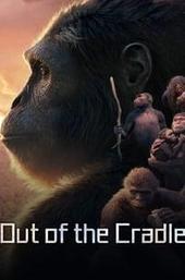 Out of the Cradle