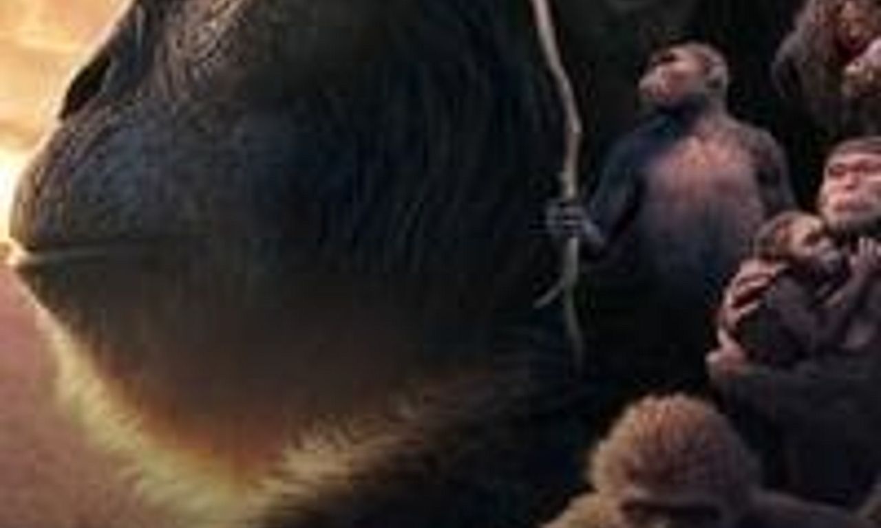 header image for Out of the Cradle