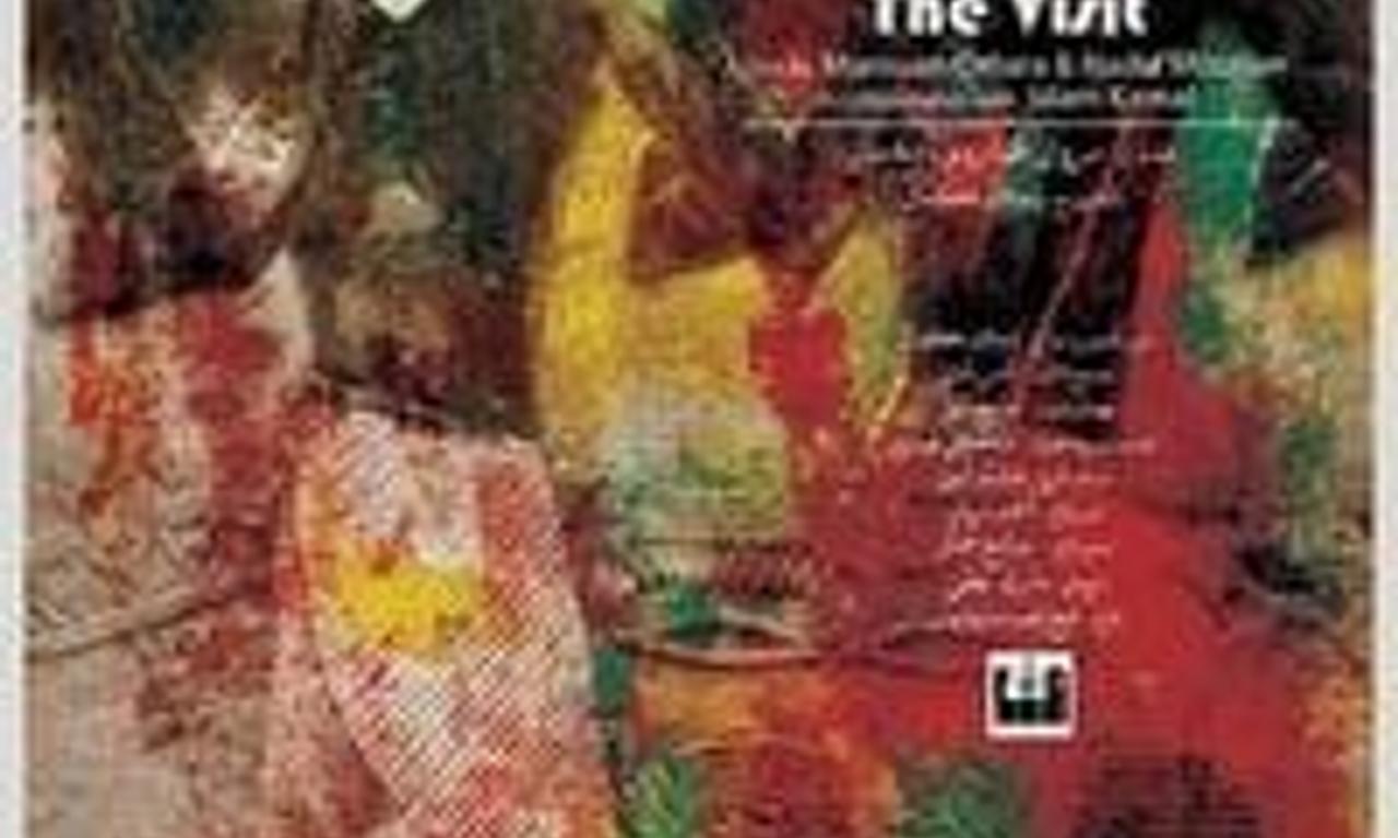 header image for The Visit