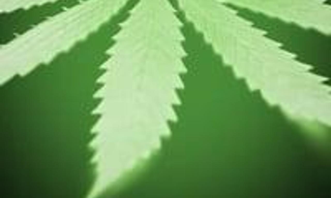 header image for Hempsters: Plant the Seed