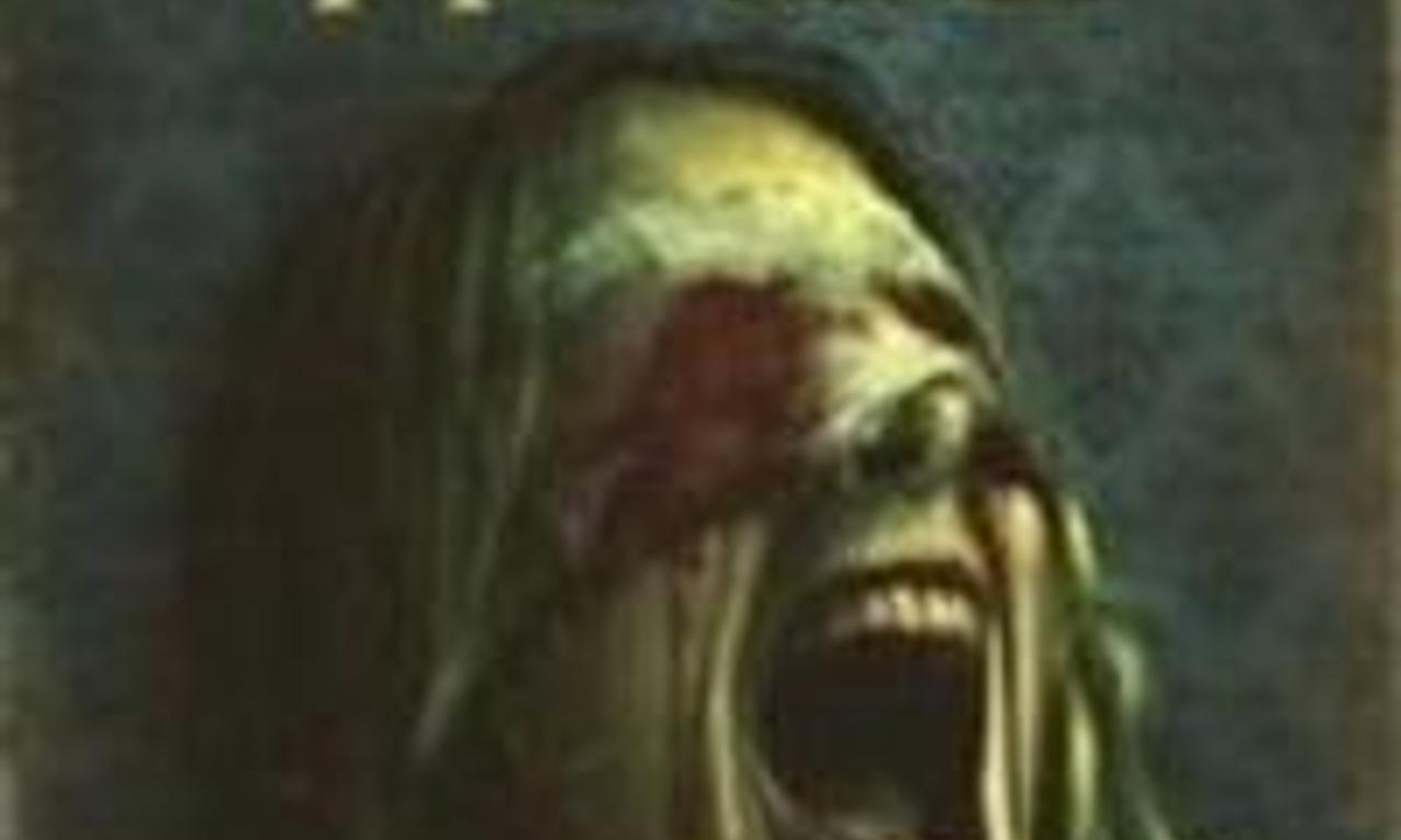 header image for The Perfect House