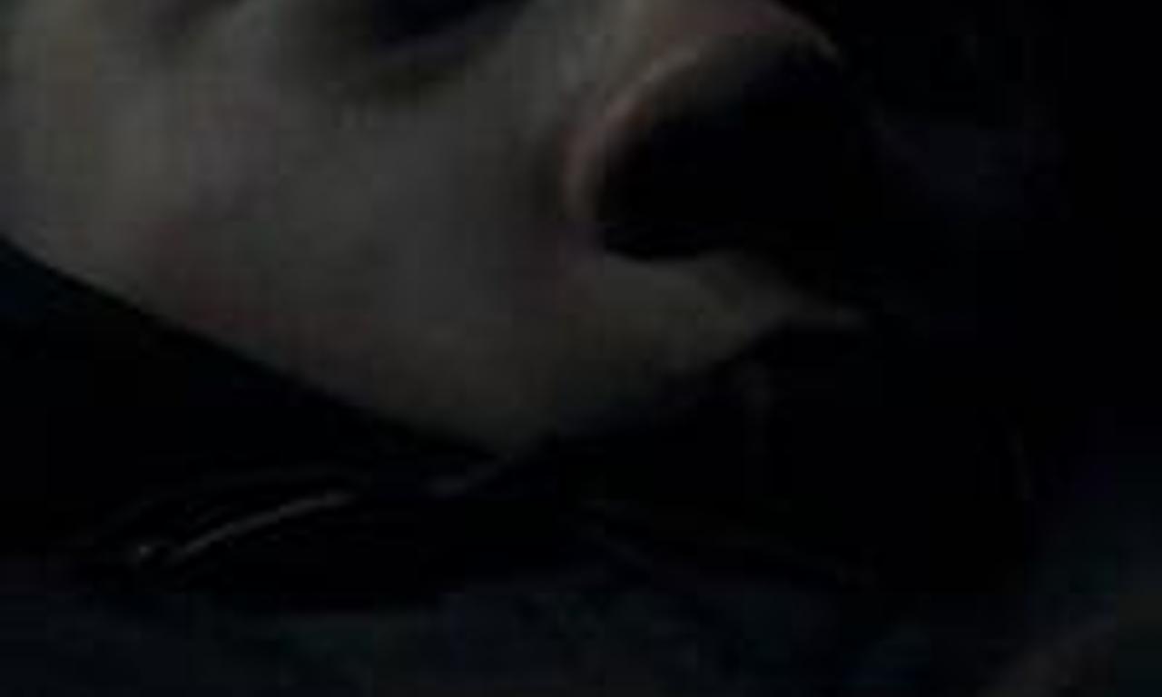 header image for Lie Low