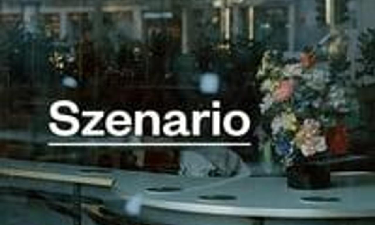 header image for Scenario