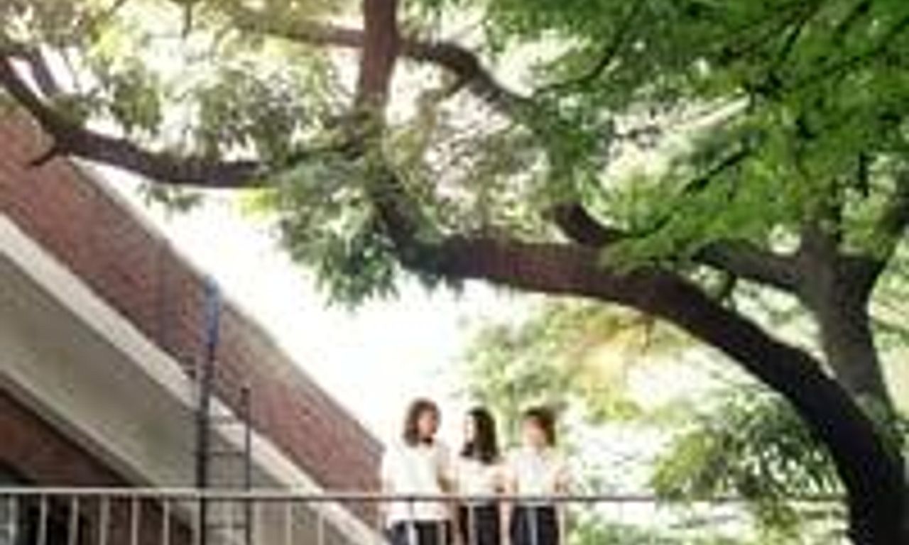 header image for Fantasy of the Girls