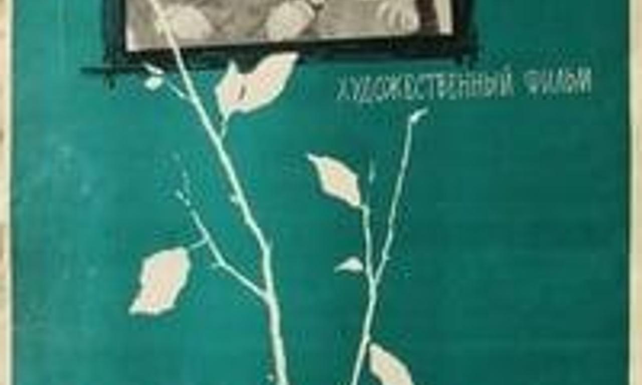 header image for Yevdokiya