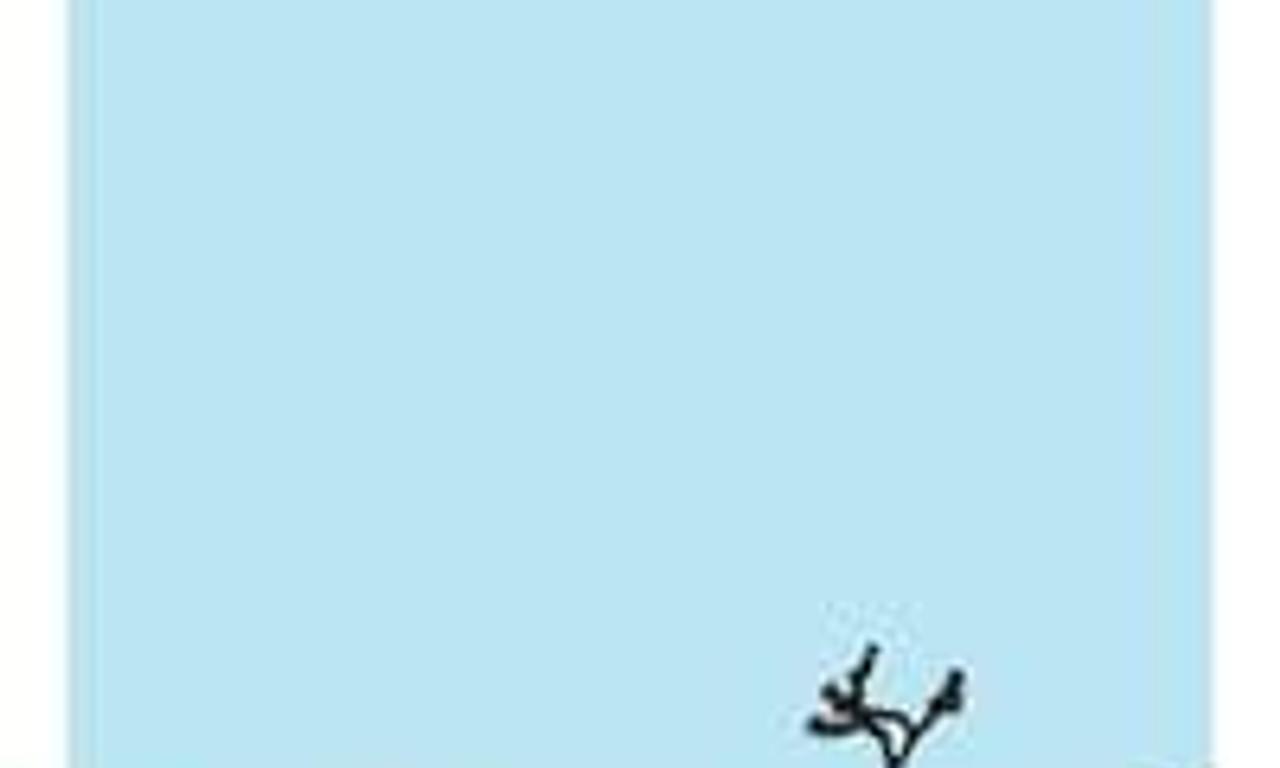 header image for Lake Los Angeles