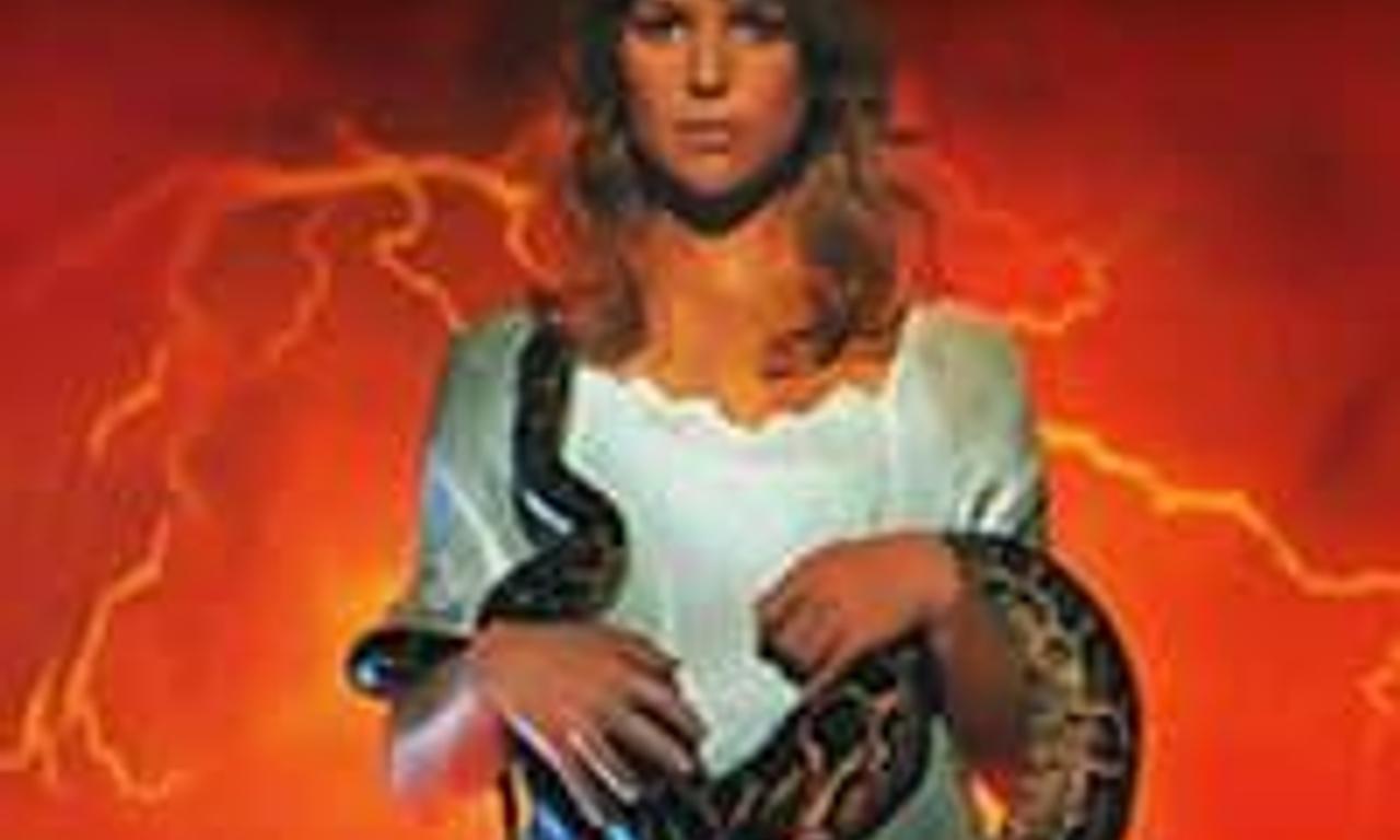 header image for The Sect