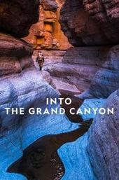 Into The Grand Canyon