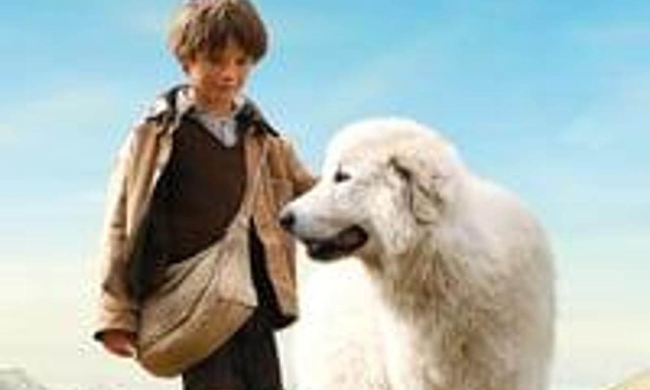 header image for Belle and Sebastian