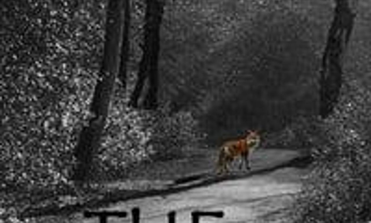 header image for The Walk