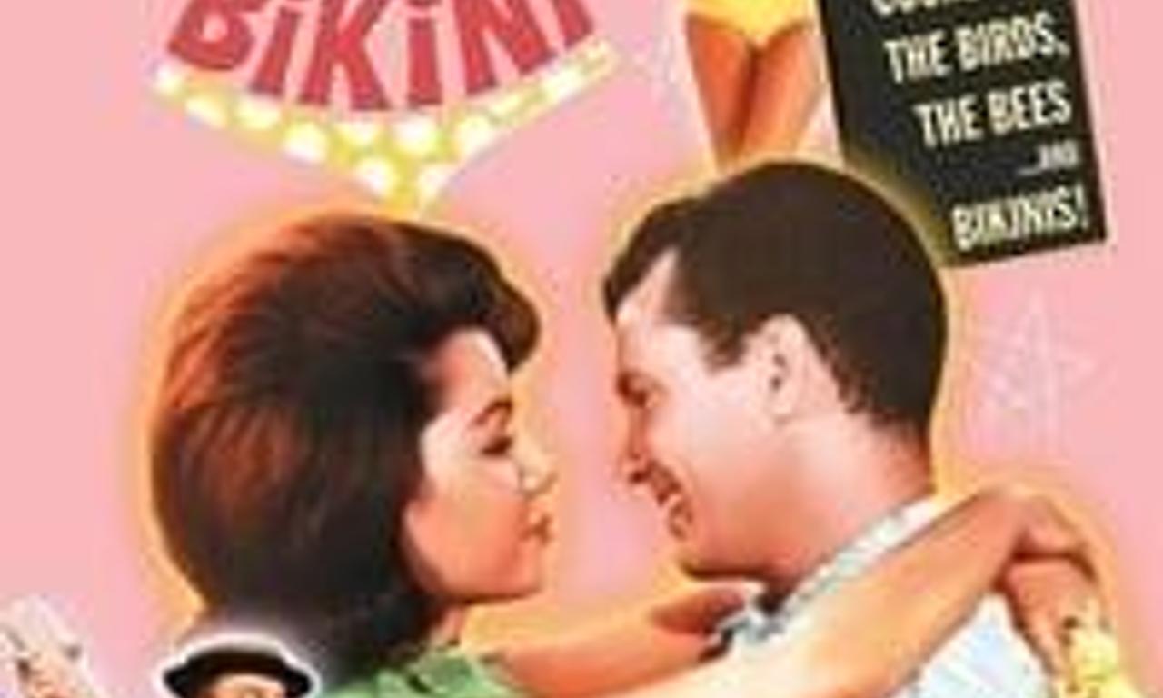 header image for How to Stuff a Wild Bikini