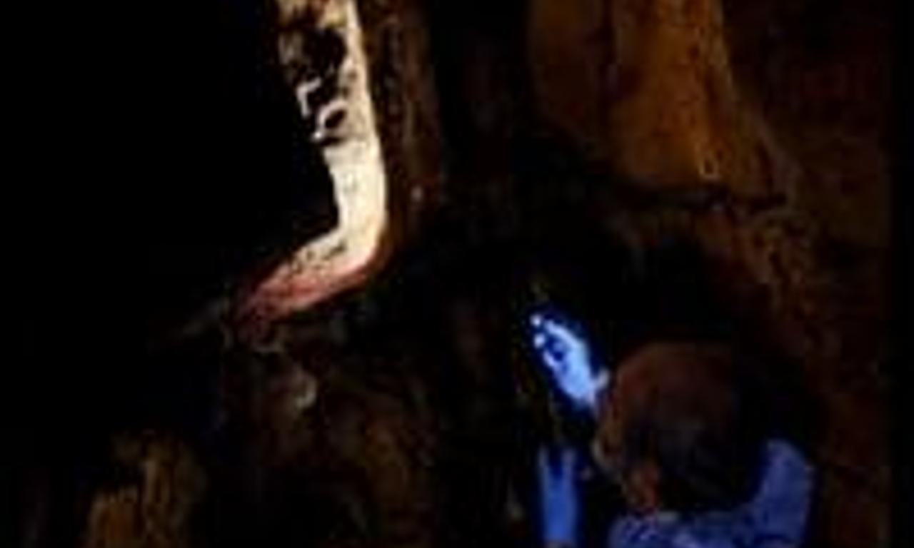 header image for El guardián de la cueva