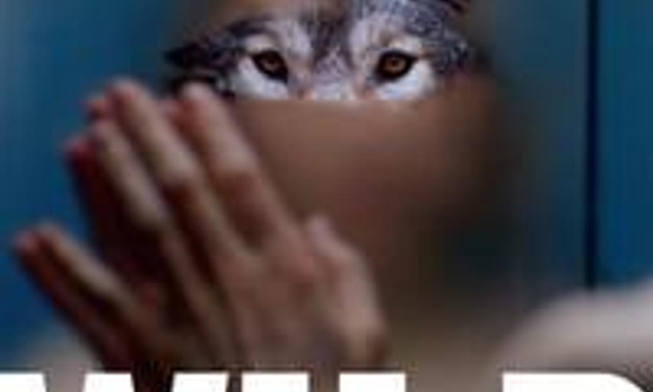 header image for Wild