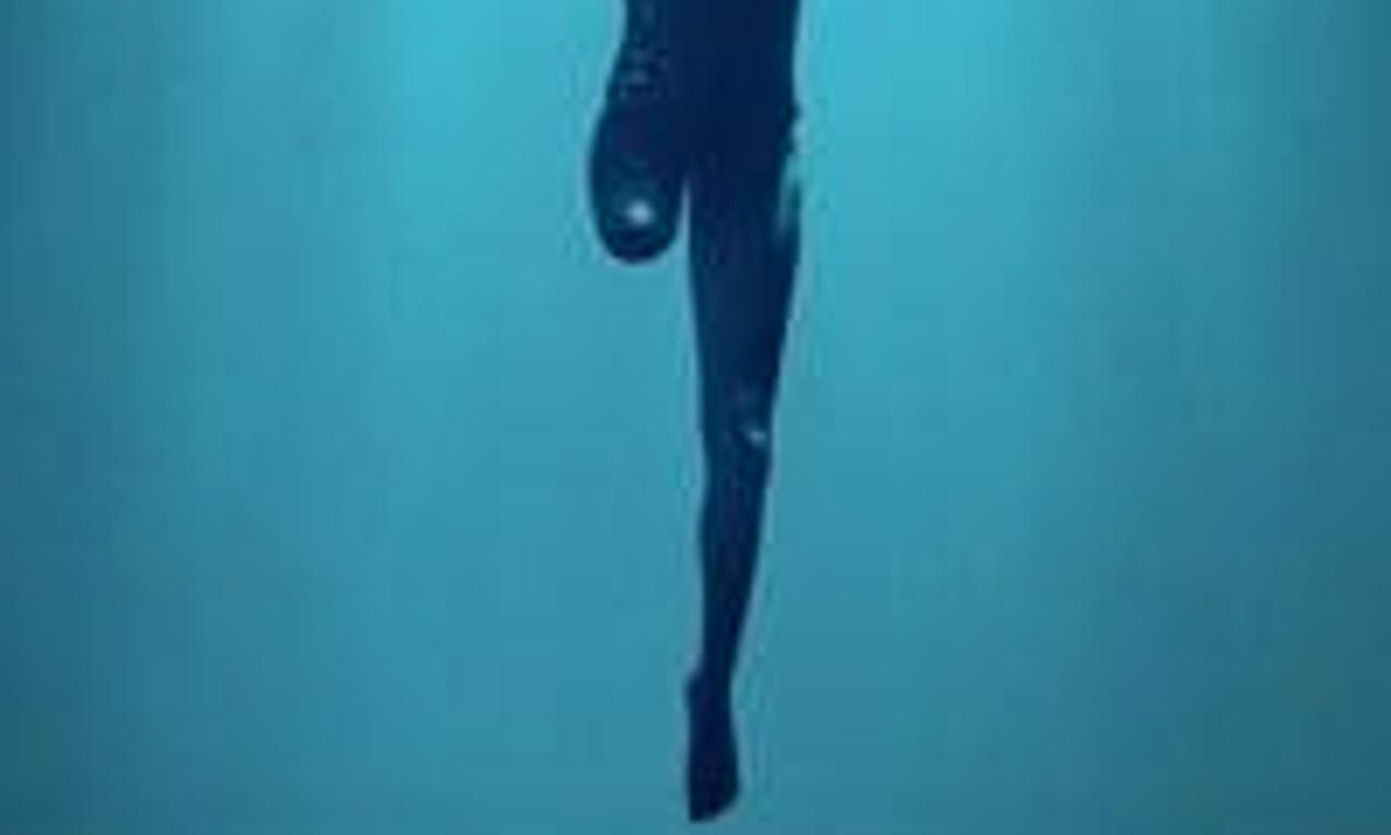 header image for Rising Phoenix