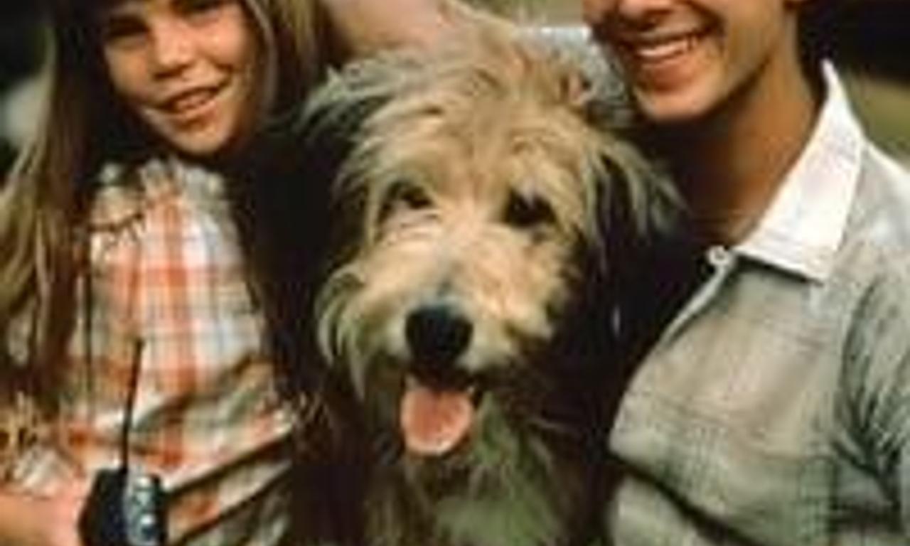 header image for Casebusters