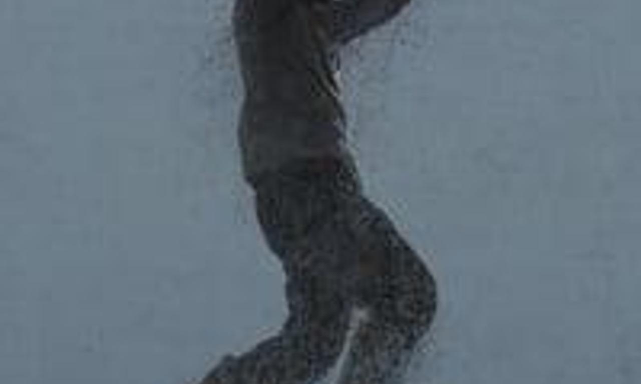 header image for The Big Burn