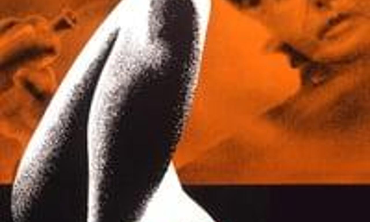 header image for Murders In The Rue Morgue