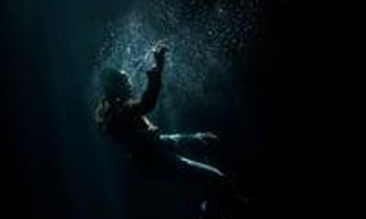 header image for The Flood