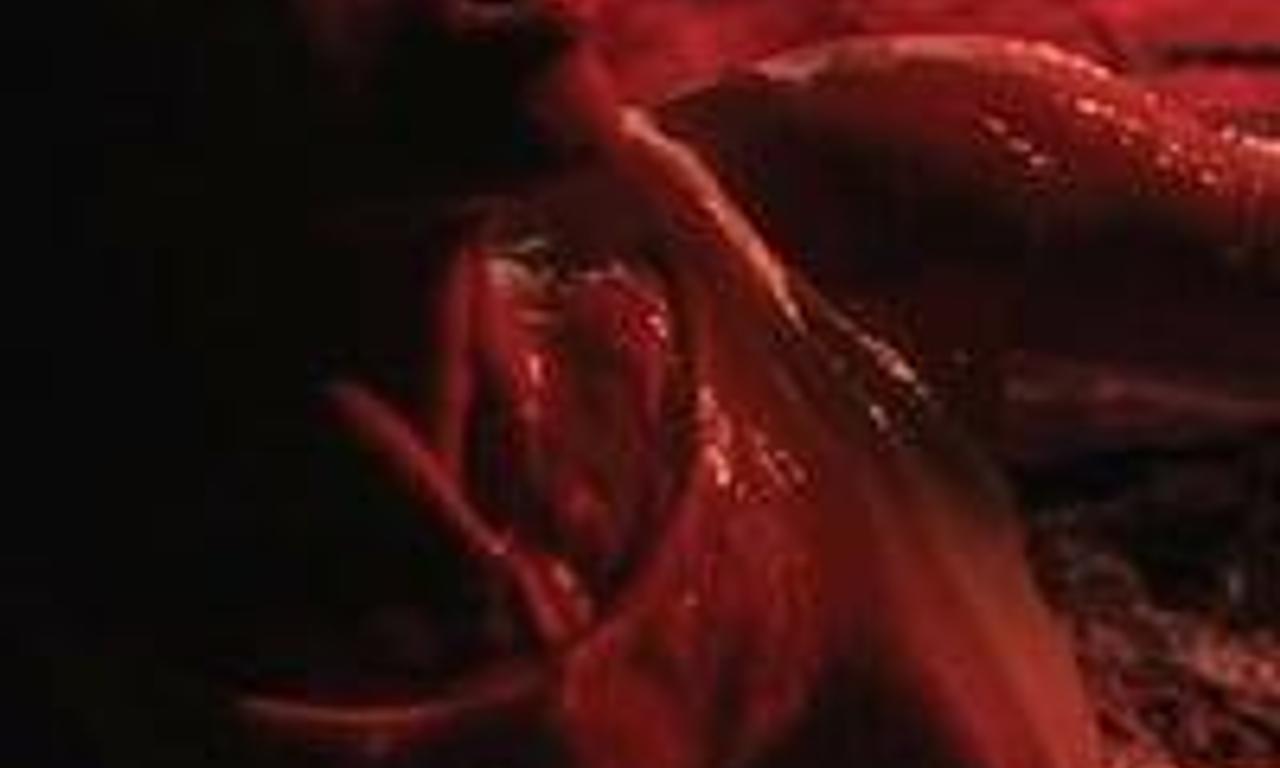 header image for Tierra Caliente