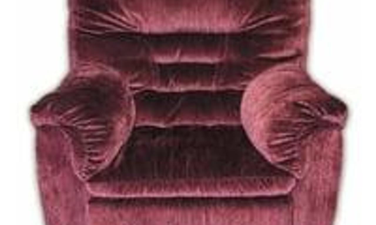 header image for The Puffy Chair