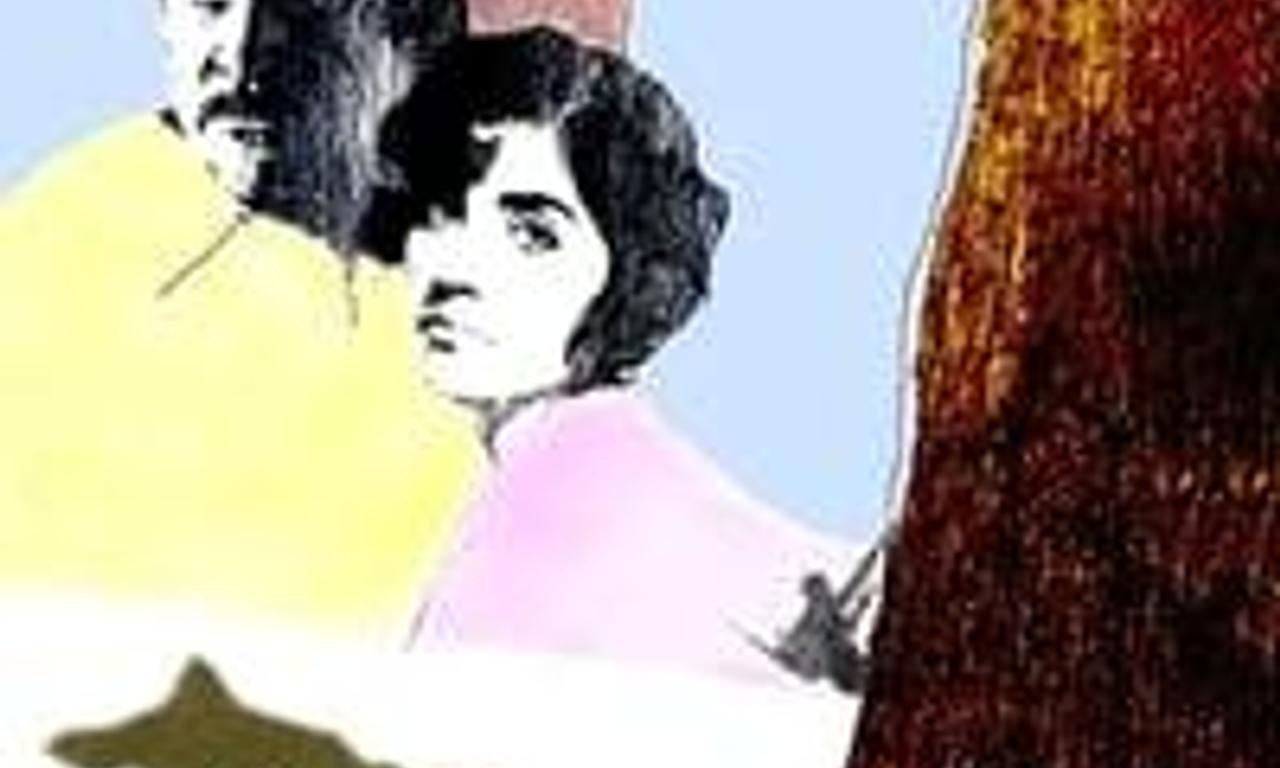 header image for Five Days One Summer