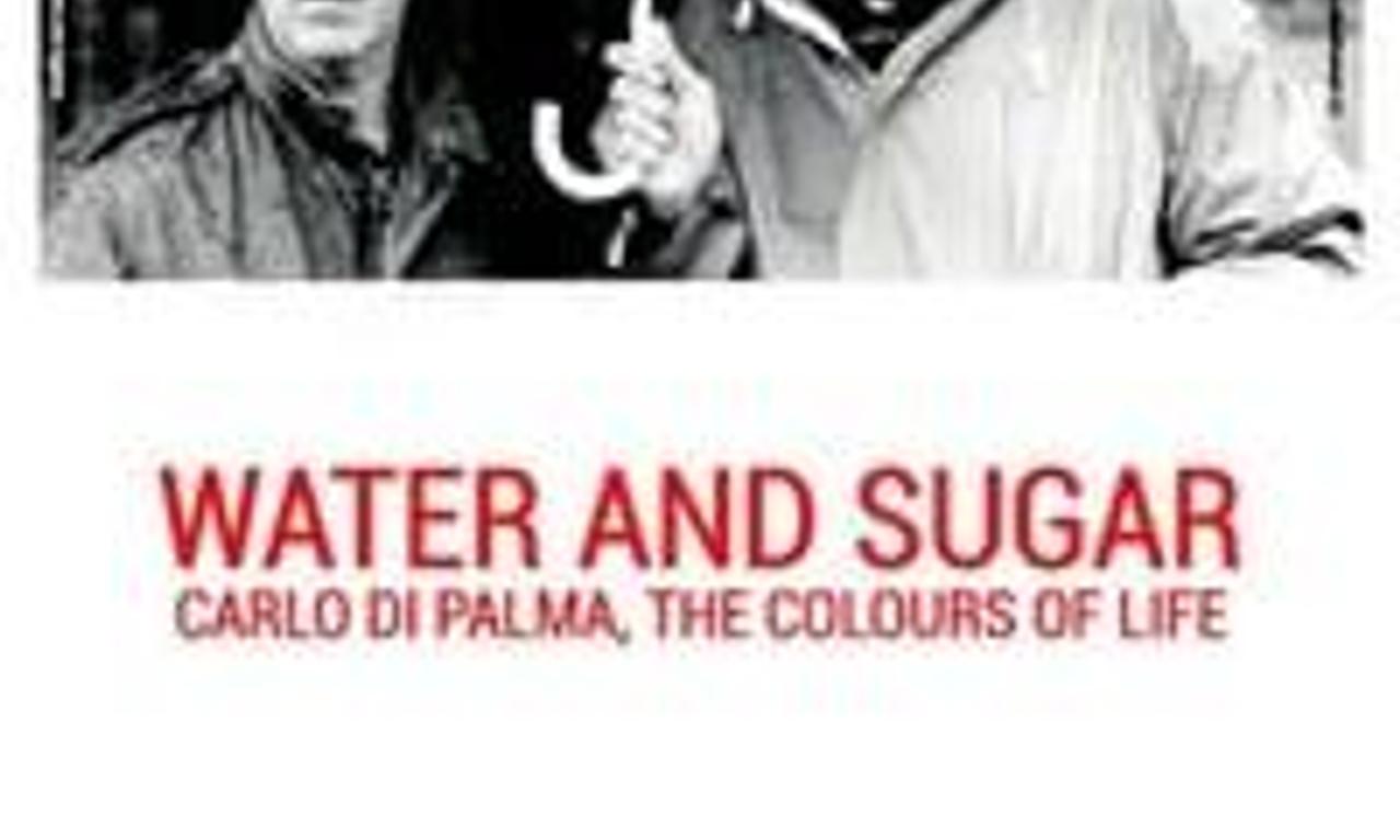 header image for Water and Sugar: Carlo Di Palma, the Colours of Life