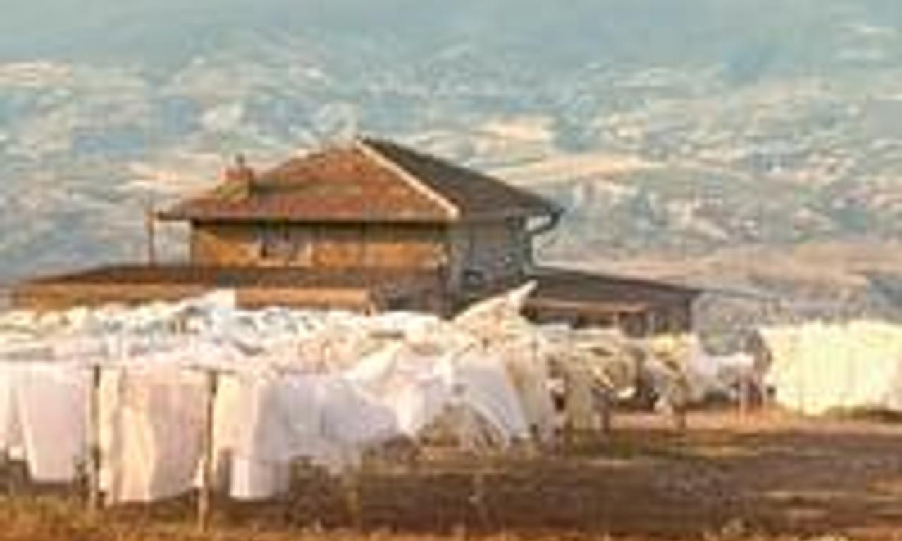 header image for Thirst