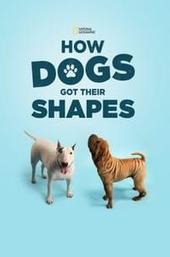 How Dogs Got Their Shapes