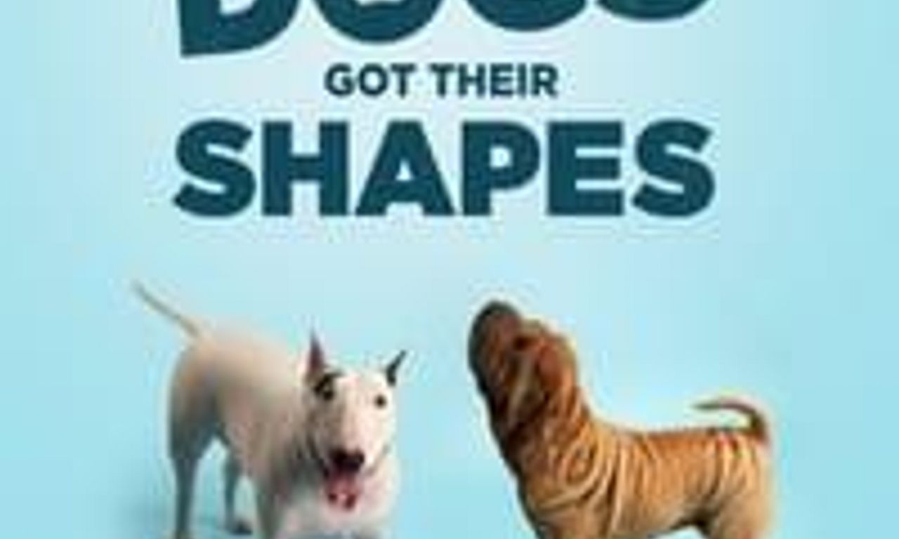 header image for How Dogs Got Their Shapes