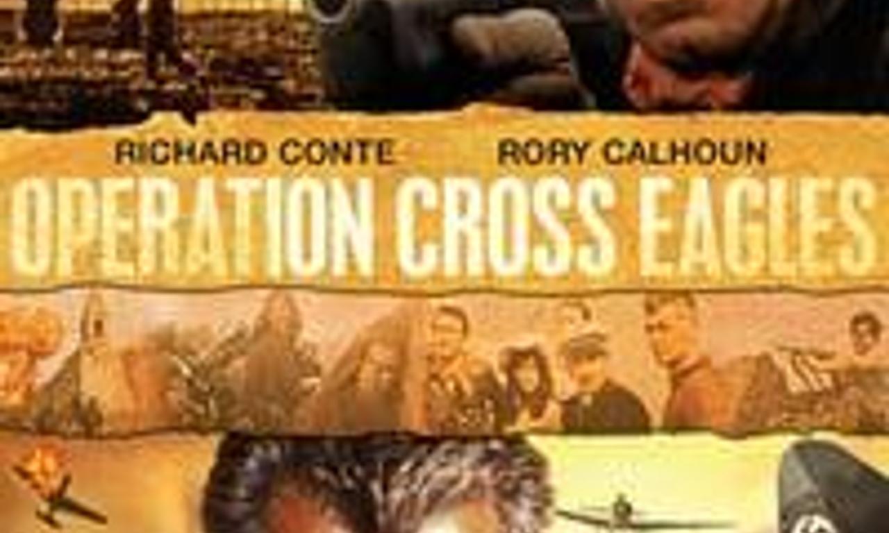 header image for Operation Cross Eagles