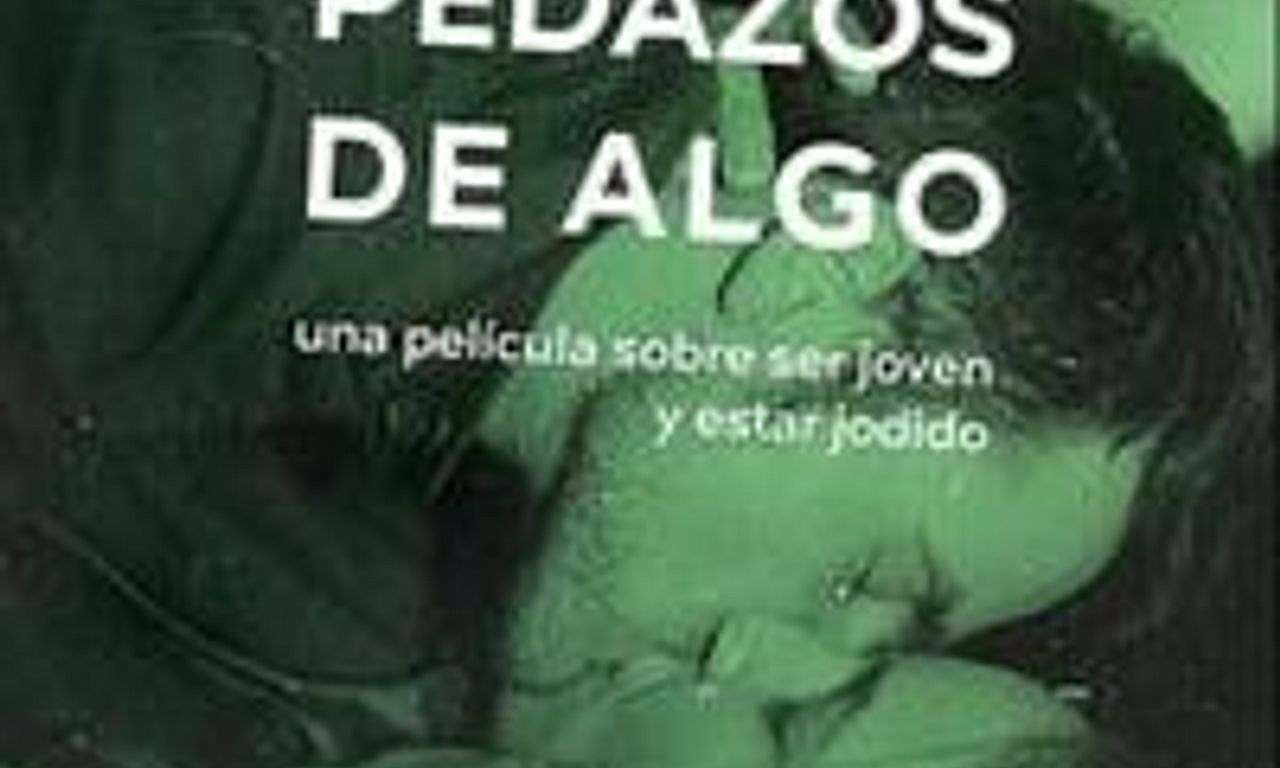 header image for Many Pieces of Something