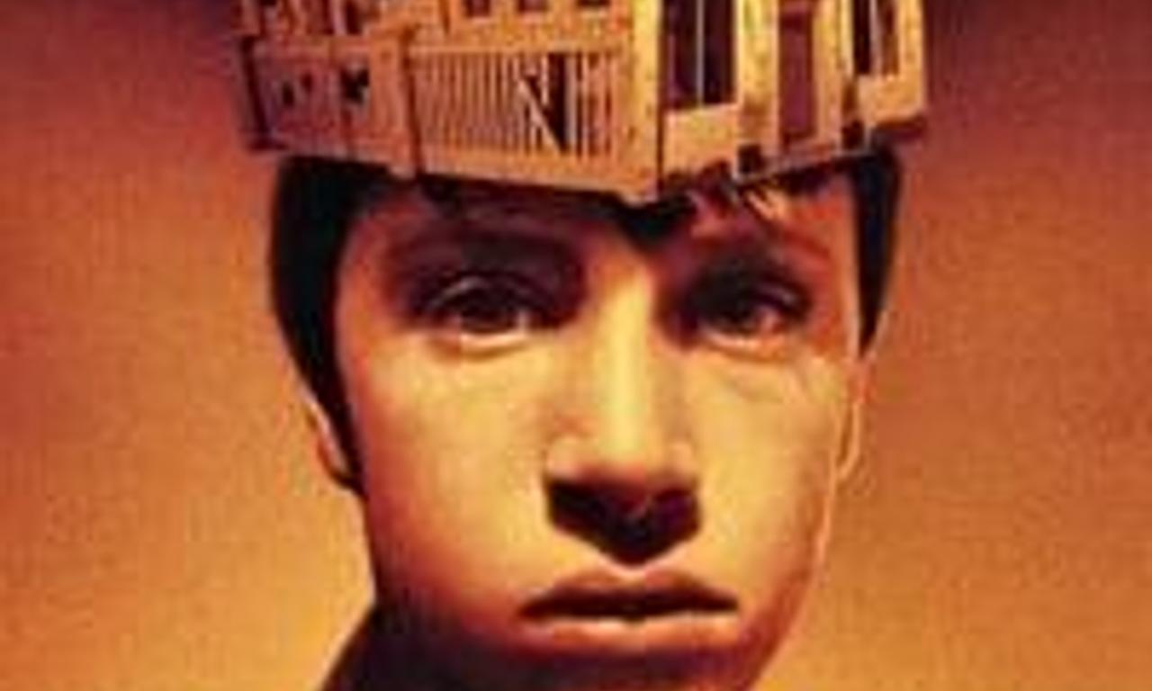 header image for Joe The King