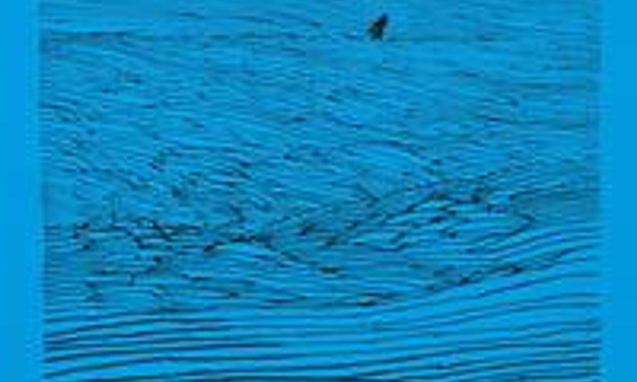 header image for The Fixer